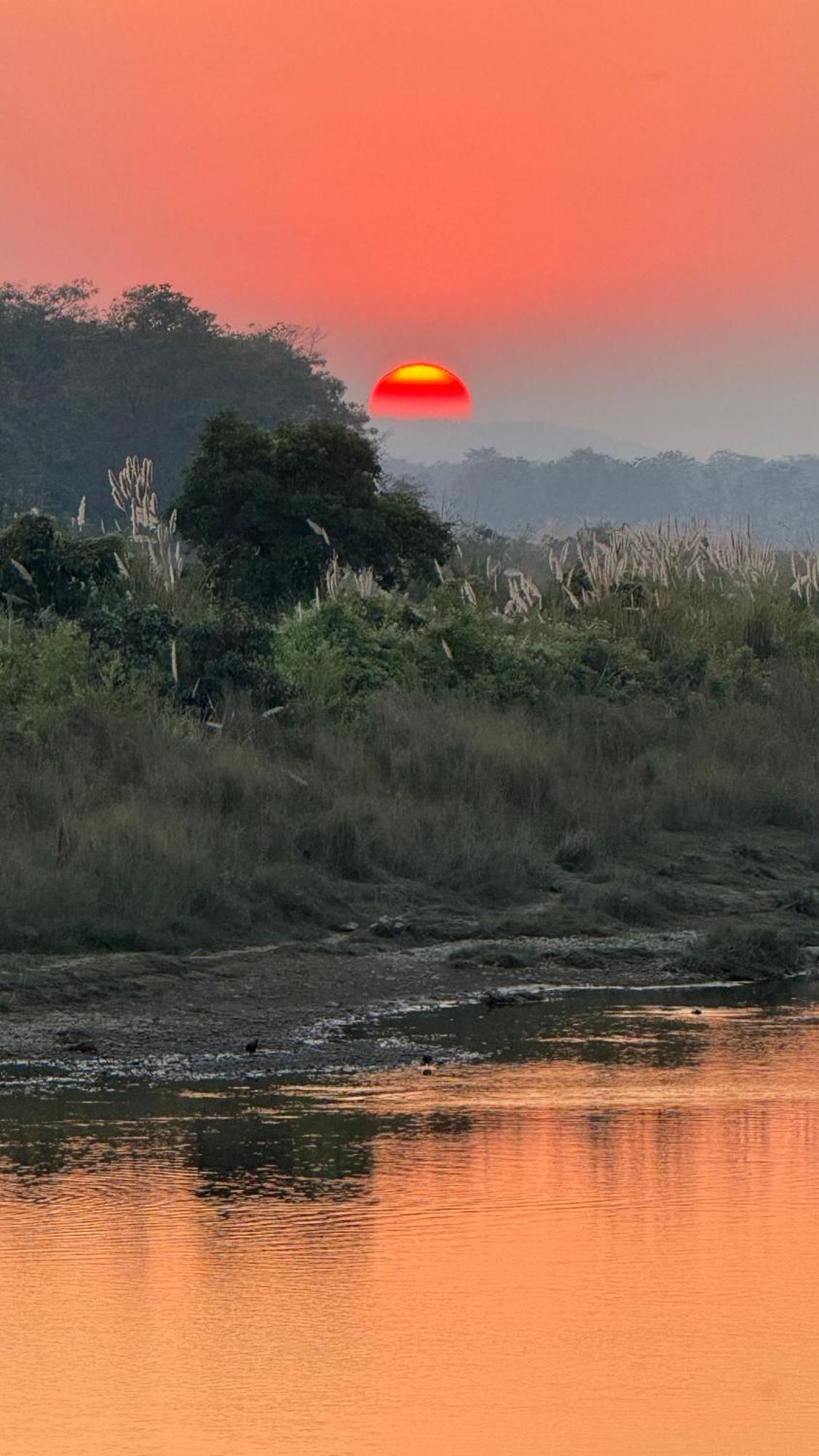 Chautari Garden Resort Sauraha Εξωτερικό φωτογραφία