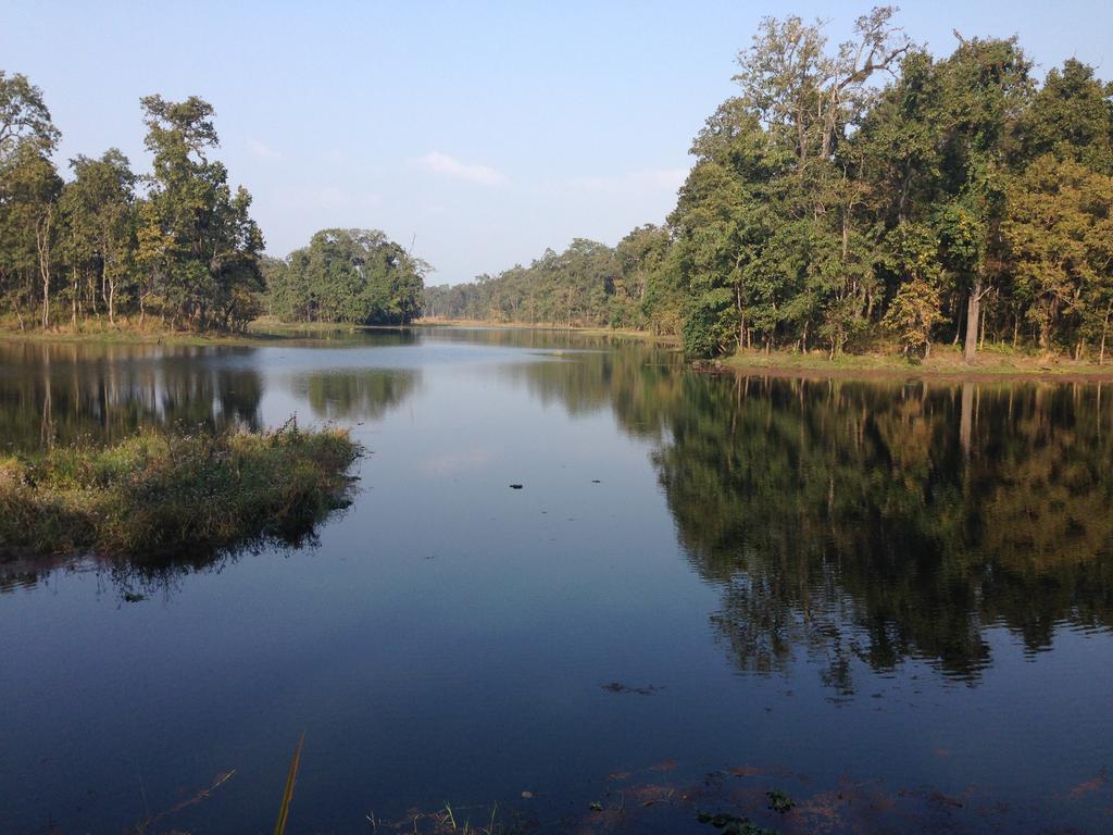 Chautari Garden Resort Sauraha Εξωτερικό φωτογραφία