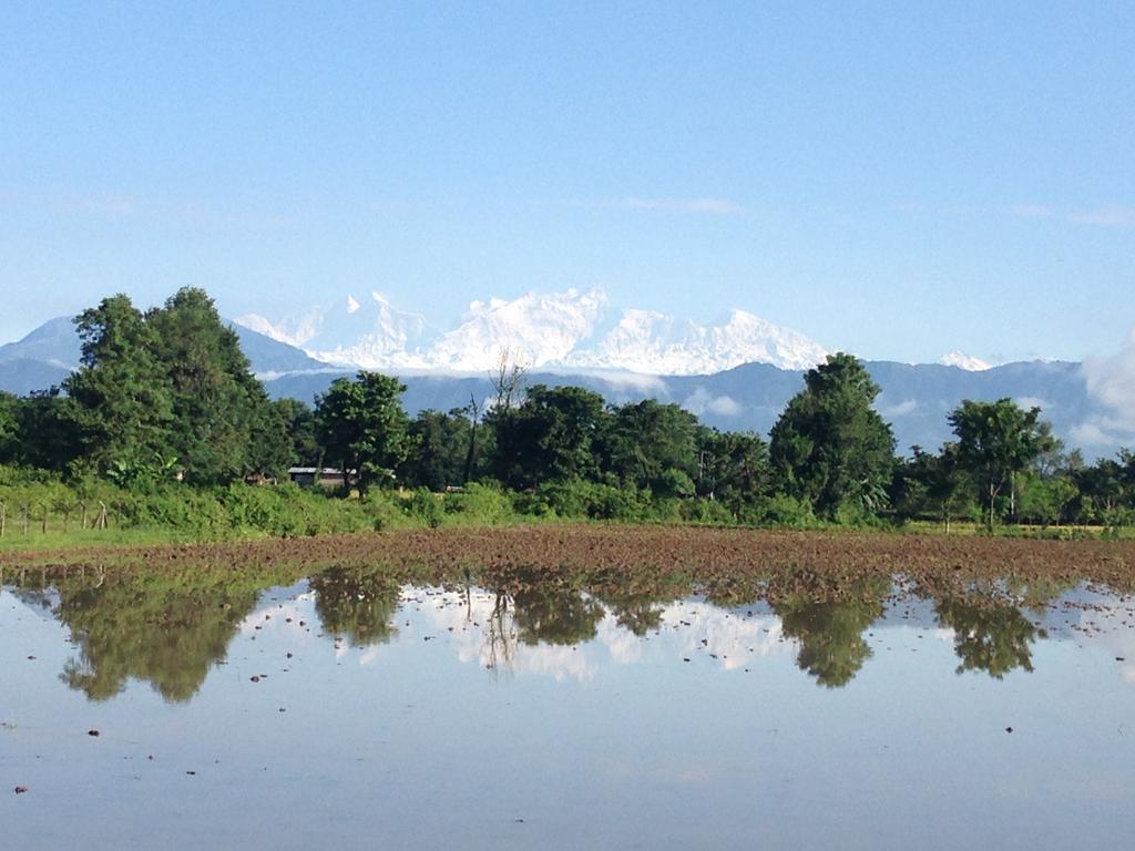 Chautari Garden Resort Sauraha Εξωτερικό φωτογραφία