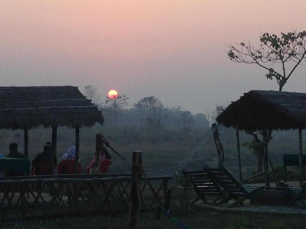 Chautari Garden Resort Sauraha Εξωτερικό φωτογραφία