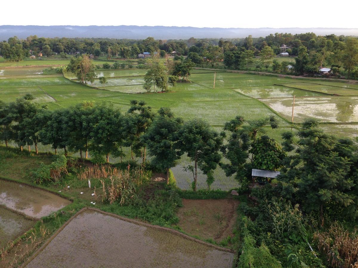Chautari Garden Resort Sauraha Εξωτερικό φωτογραφία