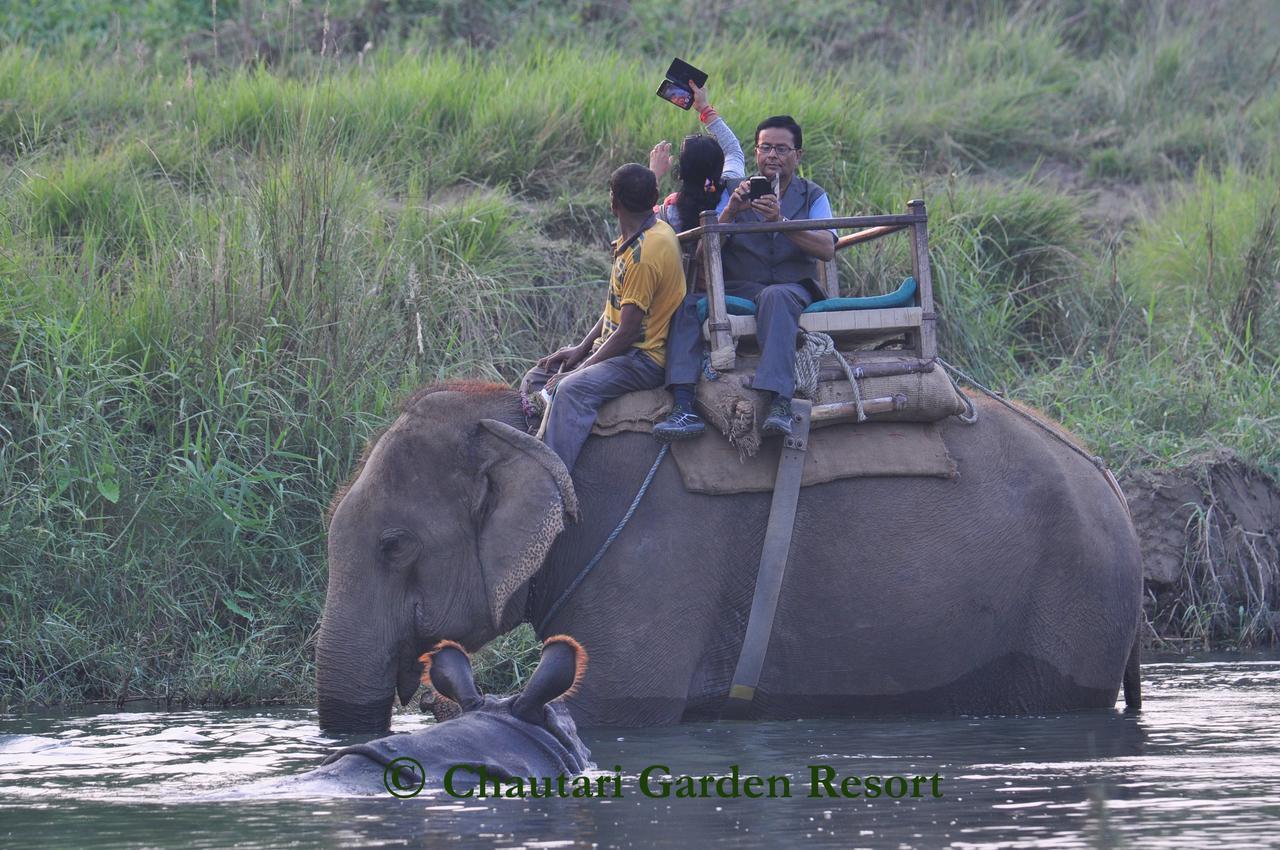 Chautari Garden Resort Sauraha Εξωτερικό φωτογραφία