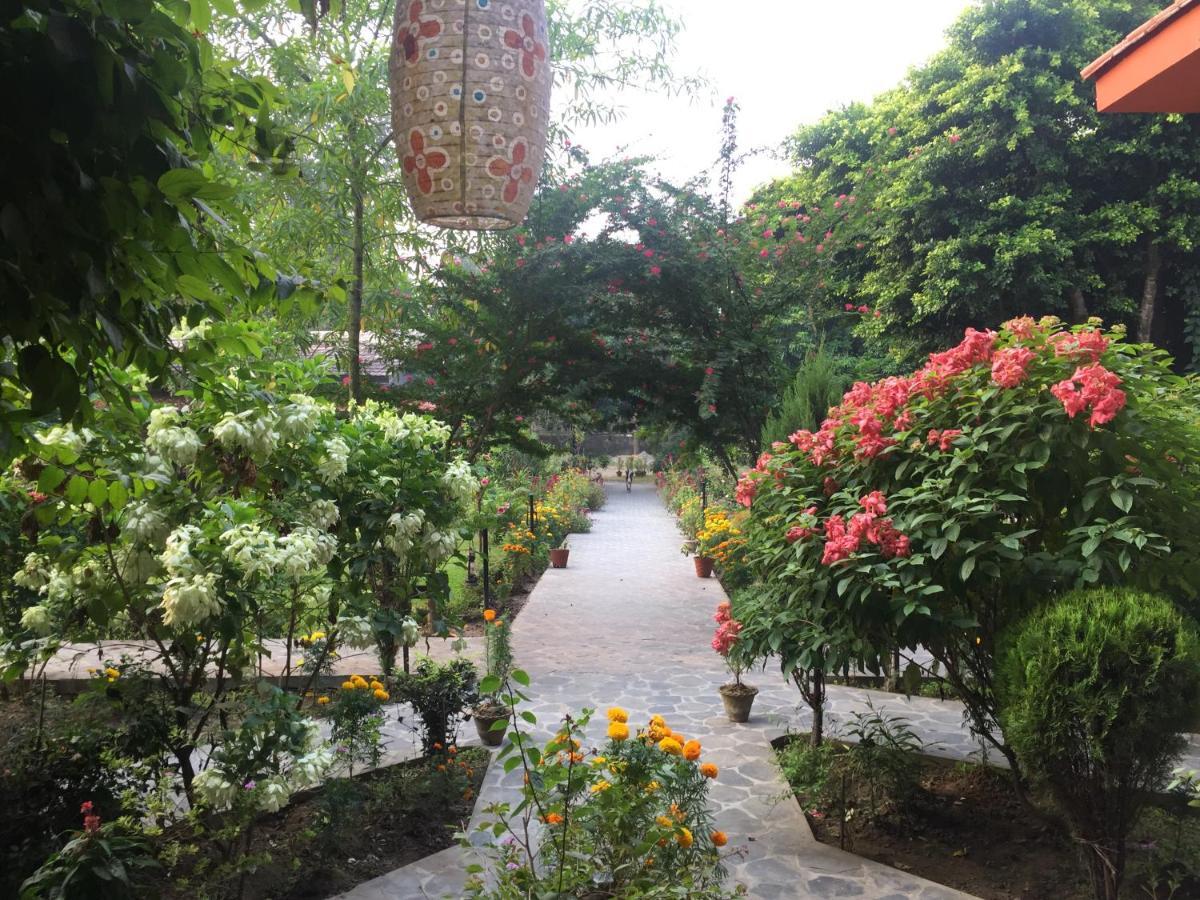 Chautari Garden Resort Sauraha Εξωτερικό φωτογραφία